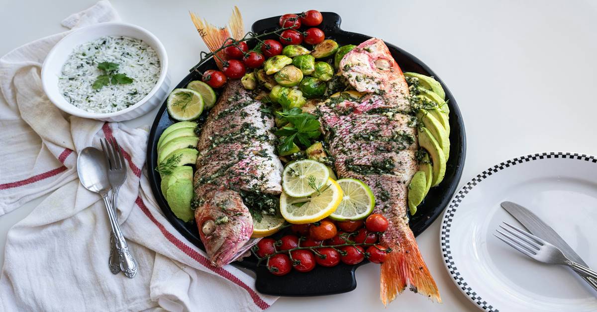Red Snapper