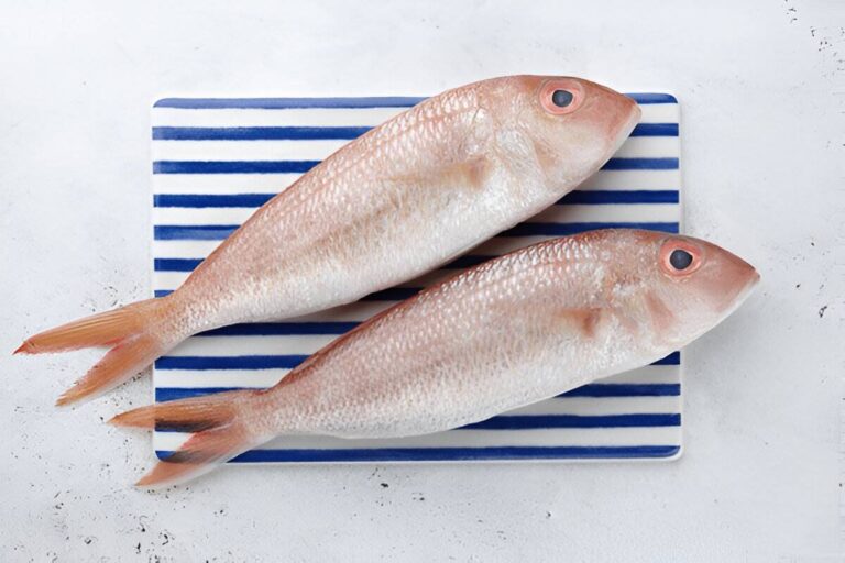 Red Mullet